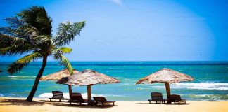 Dịch vụ làm giấy phép lưu hành quốc tế