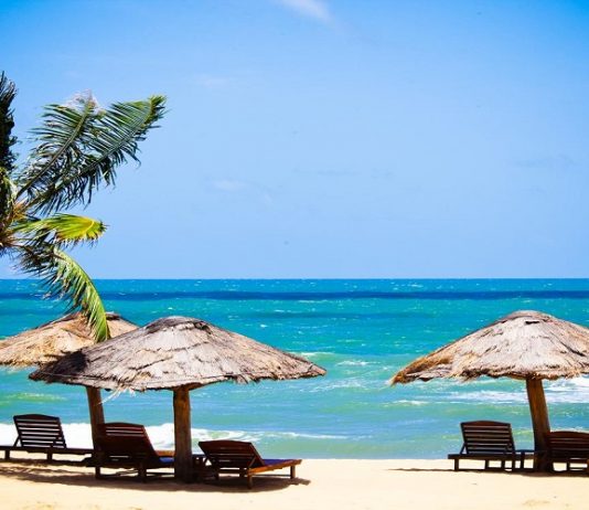 Dịch vụ làm giấy phép lưu hành quốc tế