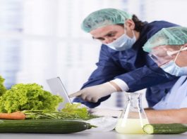 dịch vụ cấp giấy chứng nhận an toàn thực phẩm