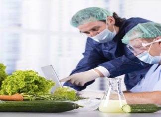 dịch vụ cấp giấy chứng nhận an toàn thực phẩm