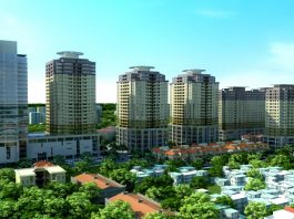 giấy phép dịch vụ đào tạo hành nghề mới bất động sản