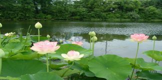 Quy trình giải quyết hồ sơ kinh doanh lữ hành nội địa