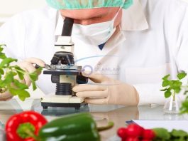 thủ tục công bố chất lượng thực phẩm