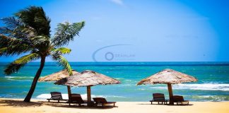 Thủ tục xin cấp giấy phép lữ hành nội địa