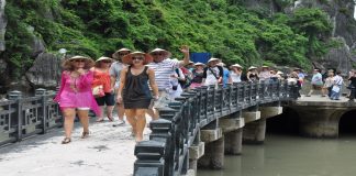 Thủ tục xin cấp giấy phép lữ hành quốc tế