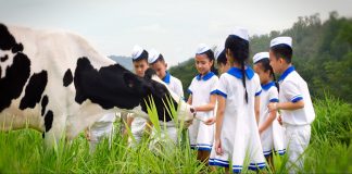 xin giấy phép quảng cáo sữa