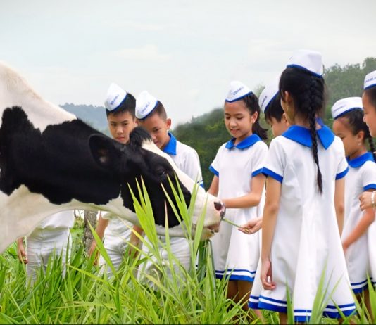 xin giấy phép quảng cáo sữa